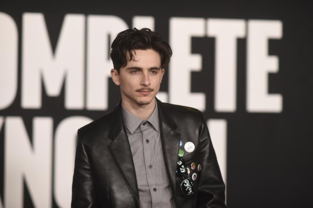 Timothée Chalamet: en la piel de Bob Dylan