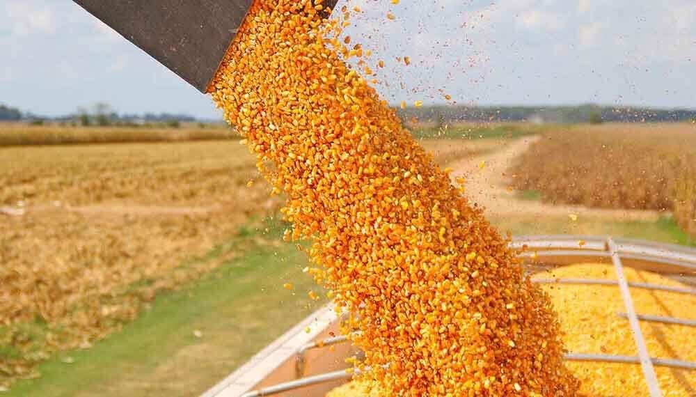 Seis cadenas de granos aportaron U$S5.350 millones en retenciones