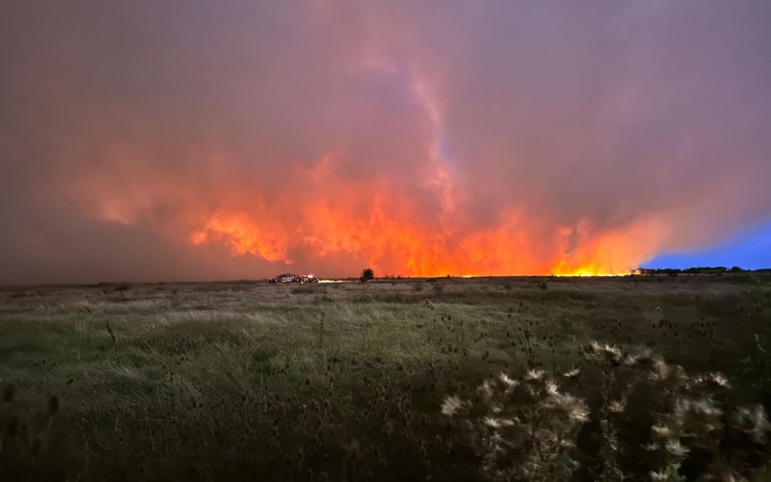 Voraz incendio en la Reserva de Punta Lara: las imágenes más impactantes tras las grandes llamas