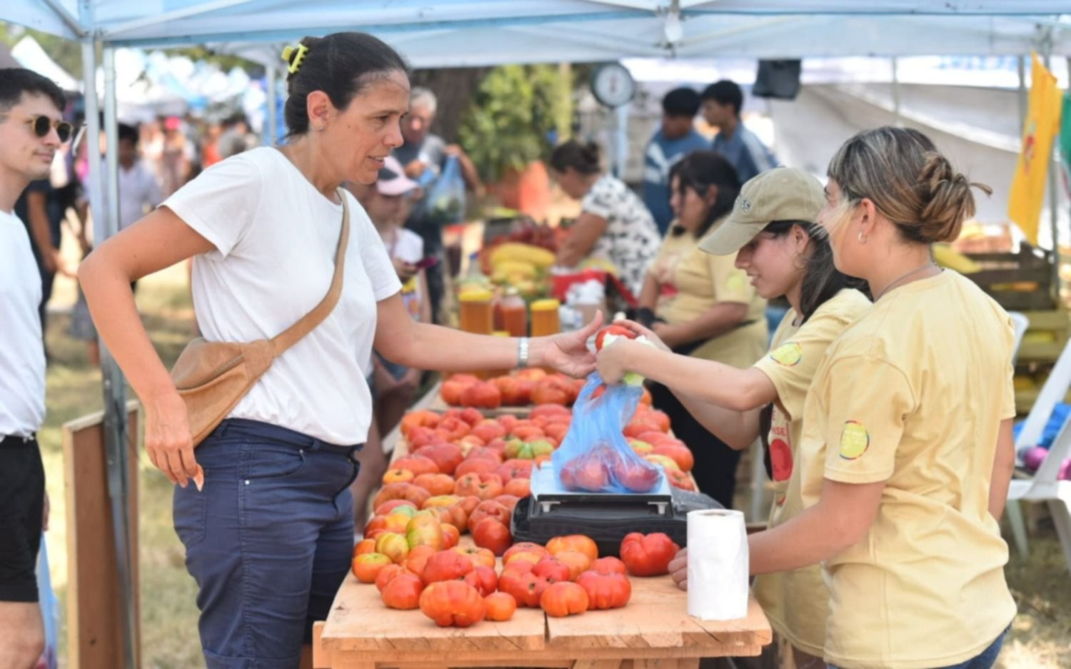Un sello de sabor que lo distingue: se viene una nueva edición de la Fiesta del Tomate Platense
