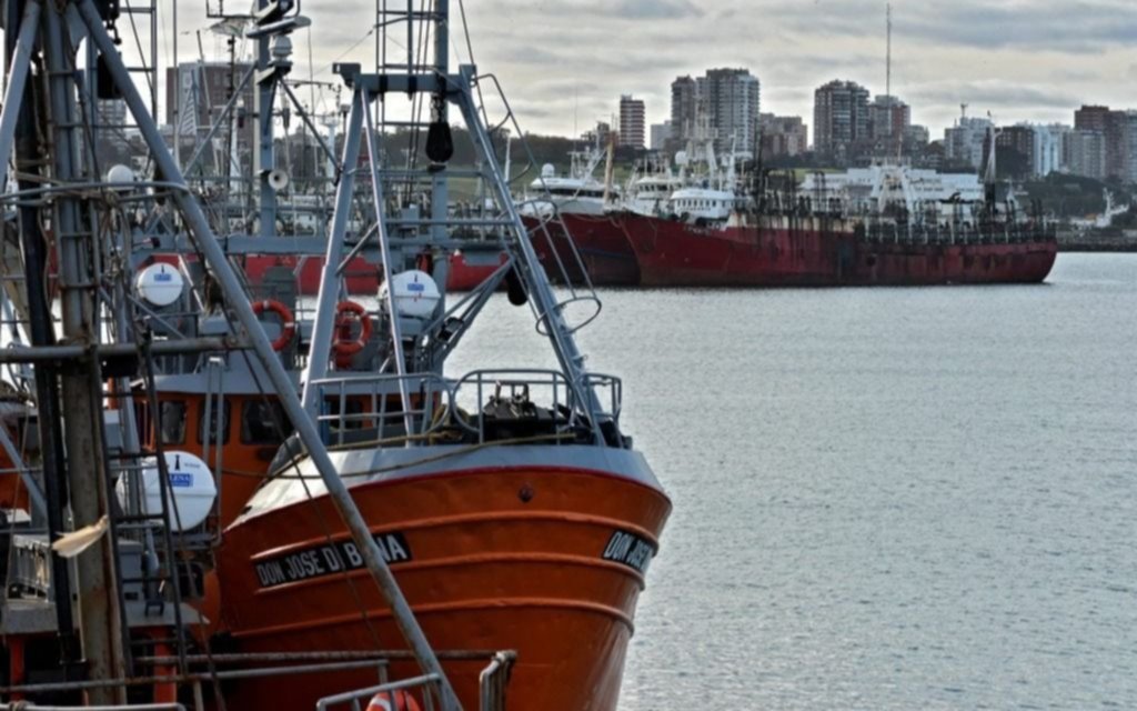 Mar del Plata: la industria pesquera advierte que está en “estado crítico e insostenible”
