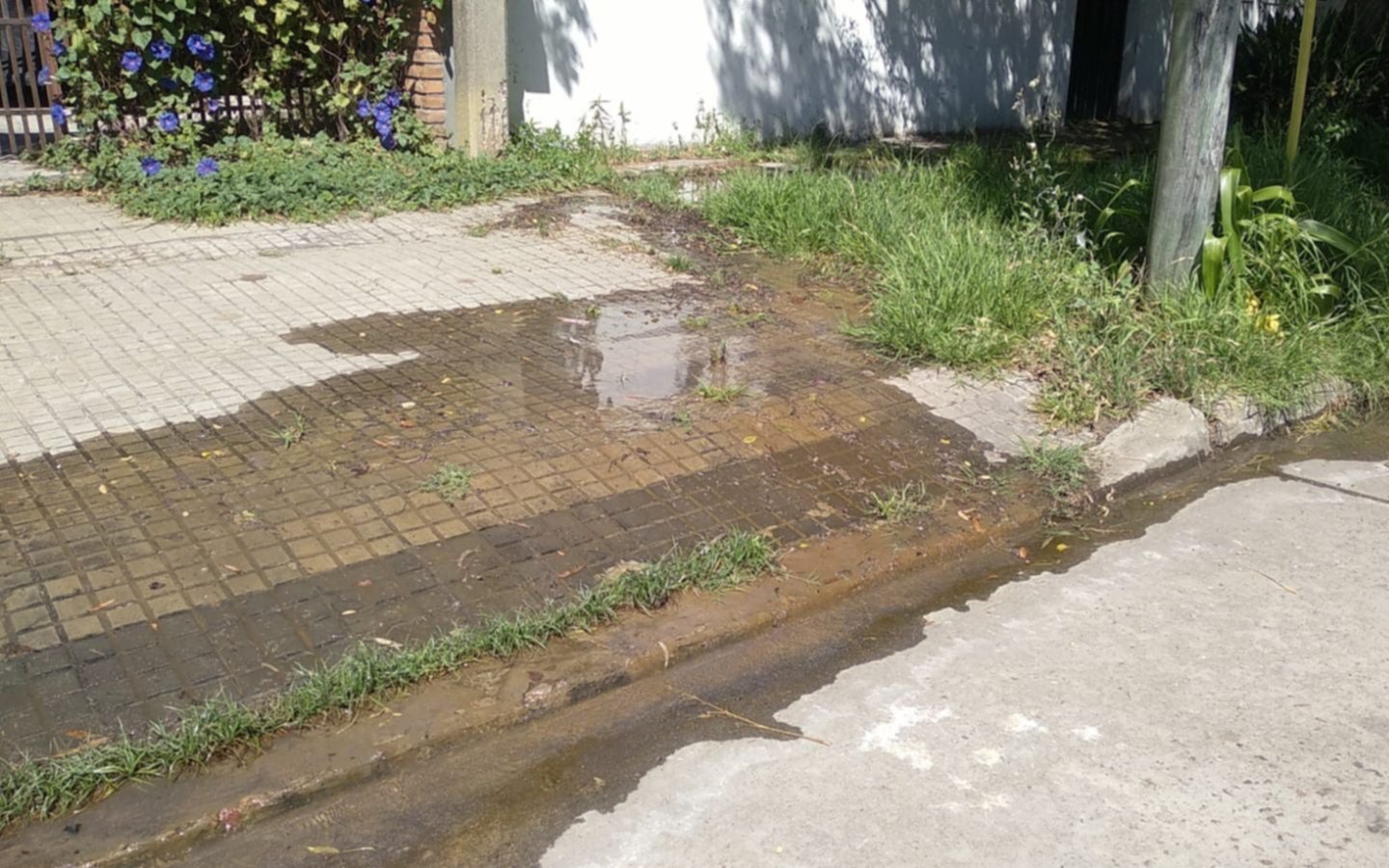 Una pérdida de agua "lleva un mes" y provoca "baja presión" en las casas