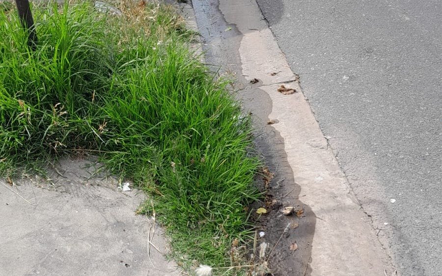 Vecinos de La Plata piden la reparación de una pérdida de agua: "No hay presión"