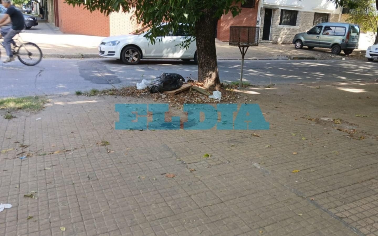 Conmoción en La Plata: un hombre mató a puñaladas a una mujer