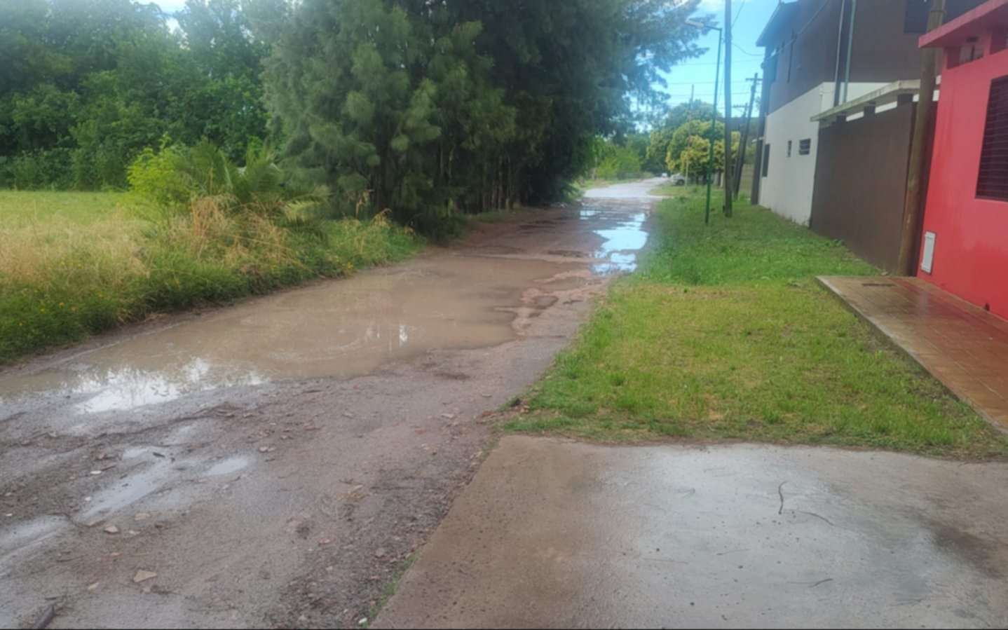 Basura, calles en mal estado y agua estancada, algunos de los problemas que viven los vecinos de un barrio de La Plata