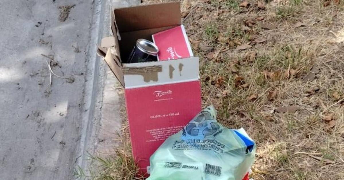 Sacaron contenedores y se acumula la basura en las veredas de 532 entre ...