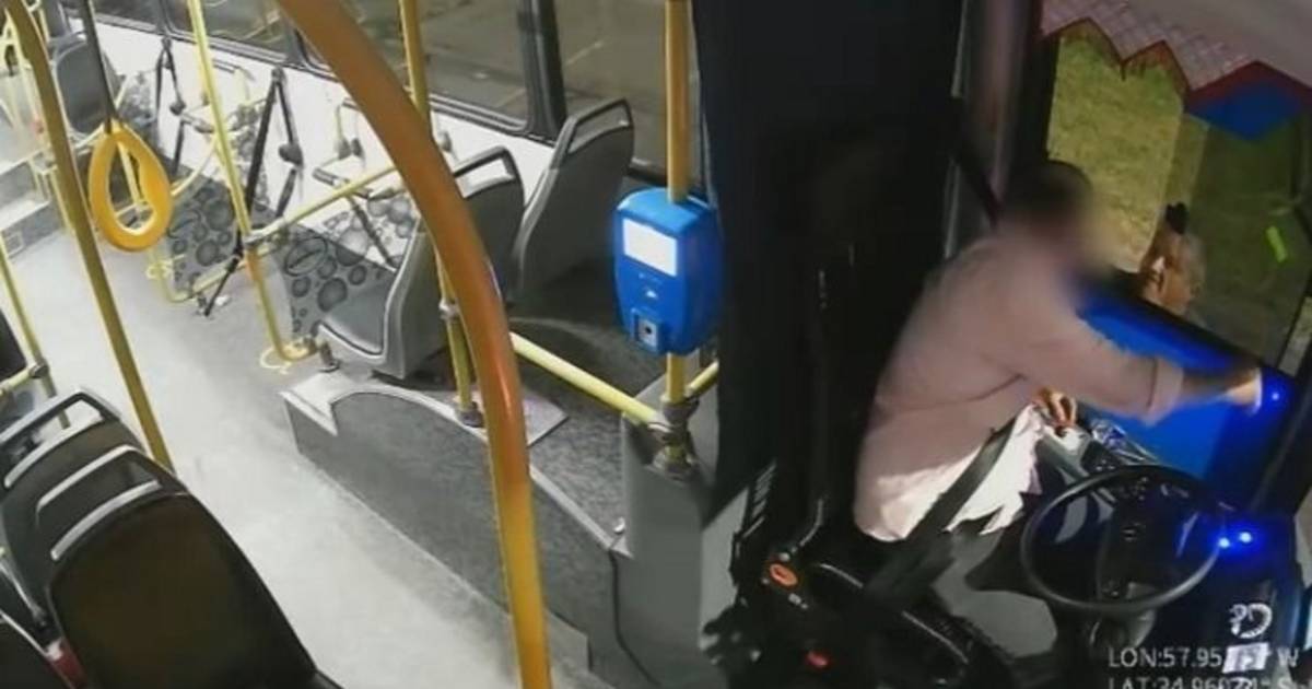 Violenta pelea de tránsito en La Plata: un conductor se bajo y golpeó a ...