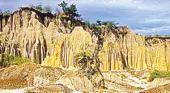 La aventura de la selva en el Parque Nacional Mburucuyá
