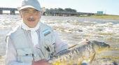 Interesante pesca de carpas con mosca en el Río Salado
