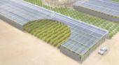 ¿Florecerá en el desierto un oasis de energía de alta tectología
