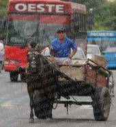 Avances para canjear caballos por motos a los cartoneros