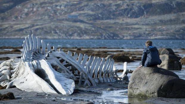 “Leviathan” y un estreno con polémica en Rusia