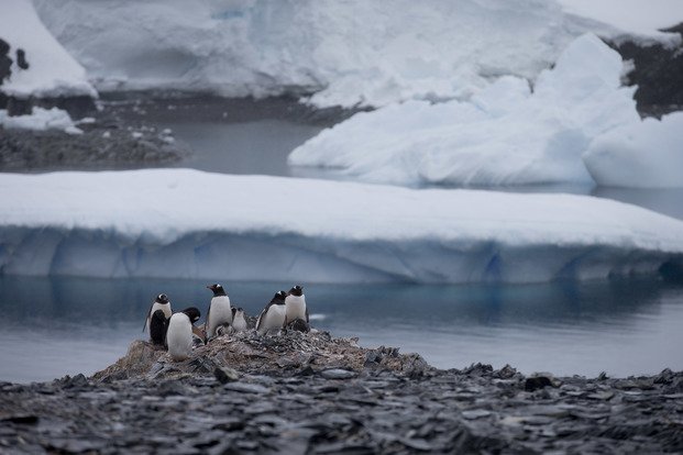 Advierten que el derretimiento antártico puede redibujar el mapa de la Tierra