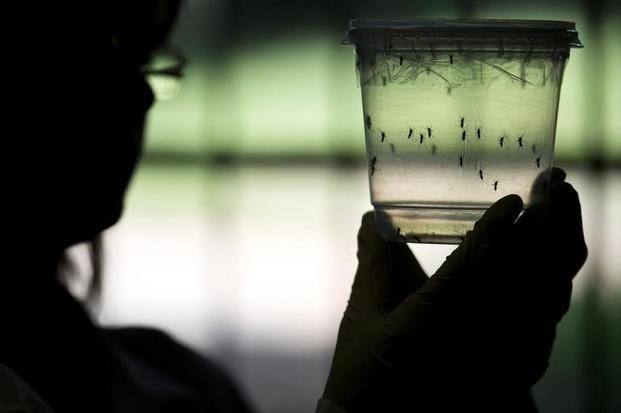 Confirman el primer caso de zika en la Provincia: son 5 en el país