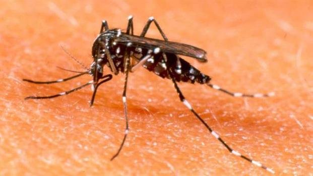El dengue ya se cobró la primera vida en el país