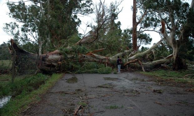 Tras el temporal, el ingreso a Estancia quedó obstruido pero el grupo pudo entrenarse
