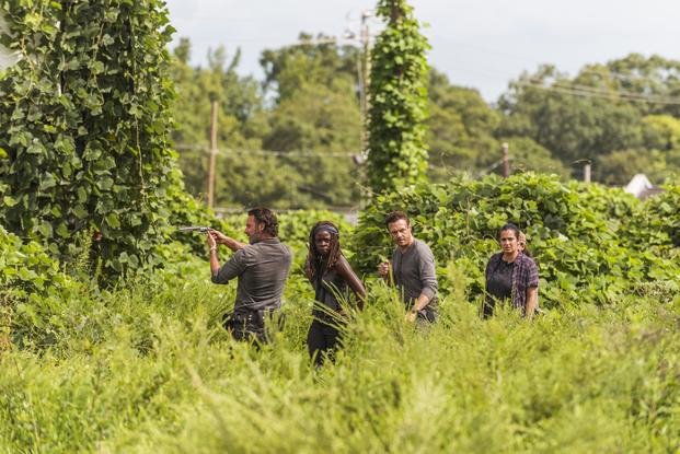“The Walking Dead” regresa a la pantalla chica con nuevos episodios