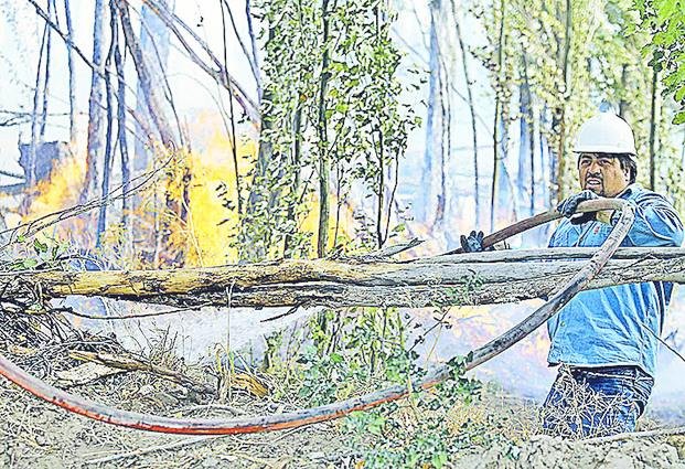 Incendios: casi 2 millones de hectáreas de campos arrasadas