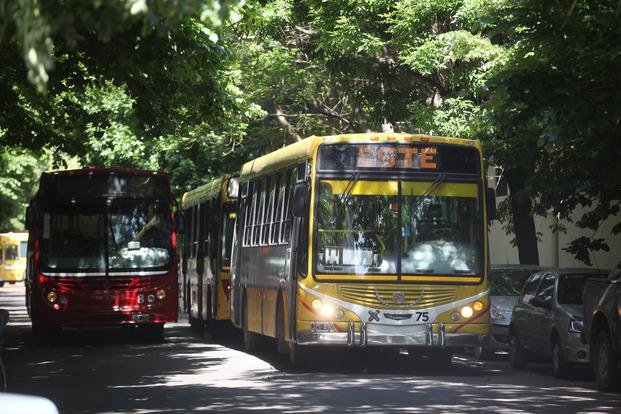 Los colectivos deberán contar con cámaras de seguridad