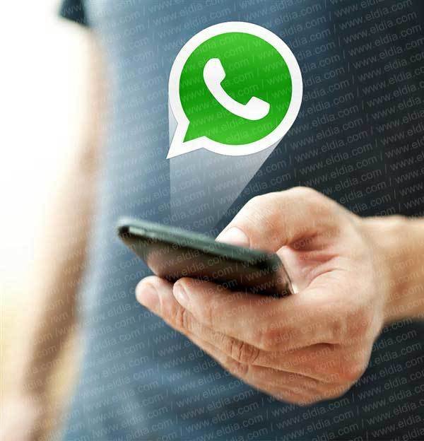 Conectate con EL DIA a través de WhatsApp