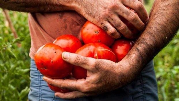 La Fiesta del Tomate Platense tendrá una nueva edición