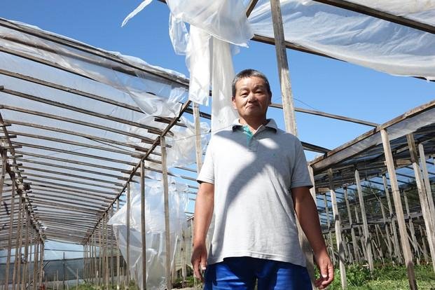 “Recién habrá flores en 6 meses”