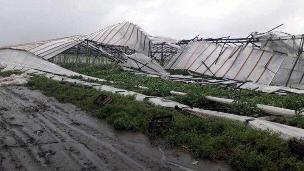 Según el INTA, la tormenta causó pérdidas de hasta el 80% en el cordón hortícola