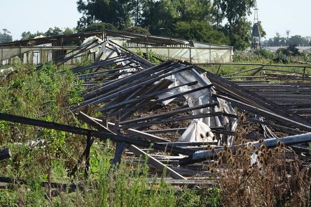 Un salvavidas para los productores del cordón frutihortícola
