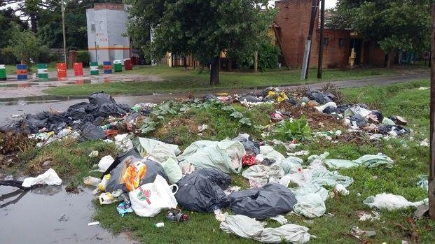 Villa Elvira: denuncian basural y presencia de
comadrejas y ratones