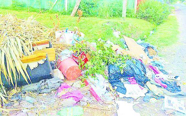 Basura y desaprensión