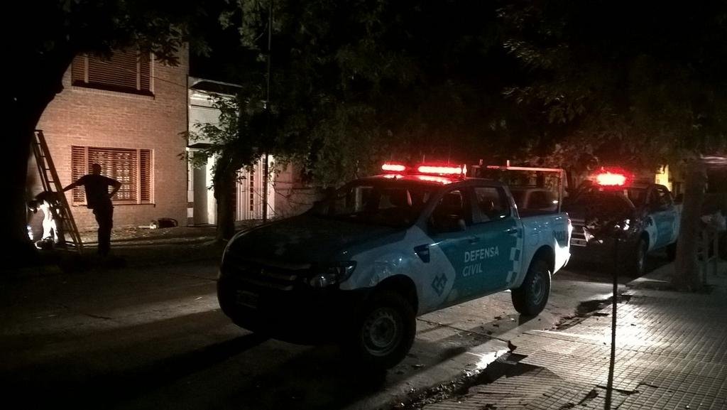 Se desplomo otro arbol