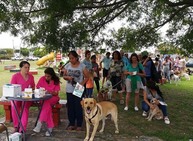 Vacunación de mascotas en la plaza de Hernández