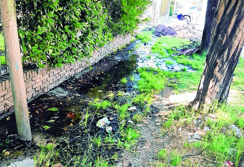 Pérdida de agua cerca del camino Belgrano