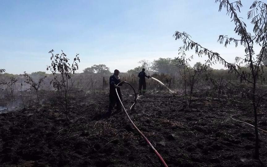 Susto por incendio que afectó un terreno en Los Talas