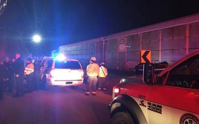 Estados Unidos: al menos dos muertos en choque de trenes  