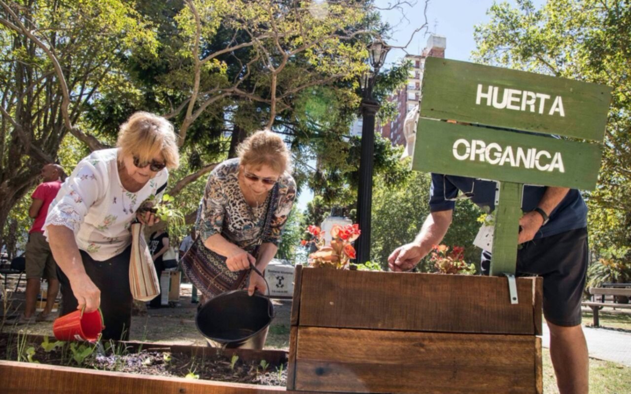 Nuevo encuentro del taller abierto de huerta