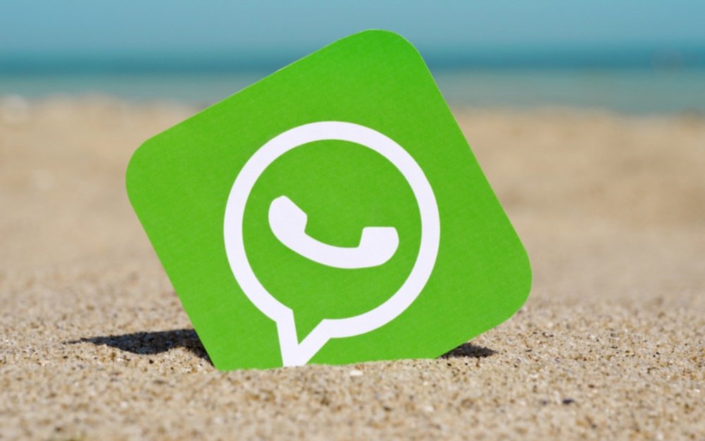 Conectate con EL DIA a través de WhatsApp