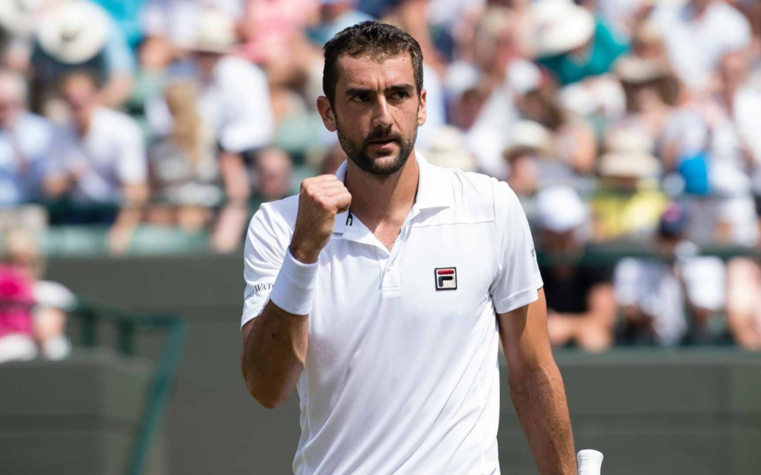 Cilic, reciente finalista del Abierto de Australia, anunció que no participará del Argentina Open