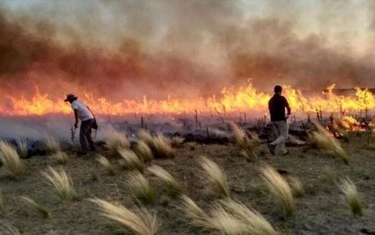 La Pampa: nuevos focos de incendio debido a las altas temperaturas y sequía