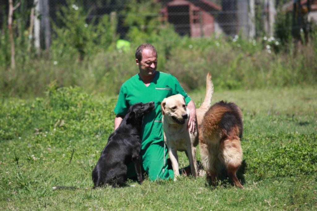 El desafío de ser una ciudad amigable con las mascotas