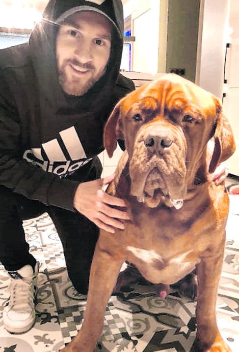 El perro de Lionel Messi es gigante