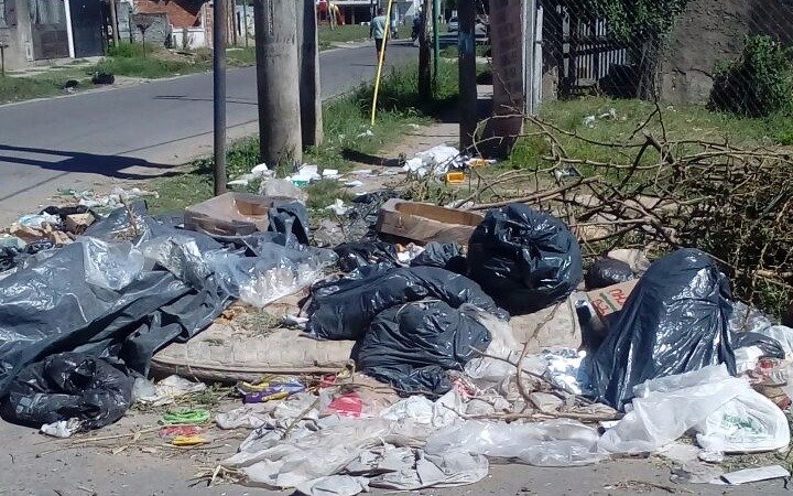 Vecinos de un sector de Berisso aseguran “convivir con un basural”