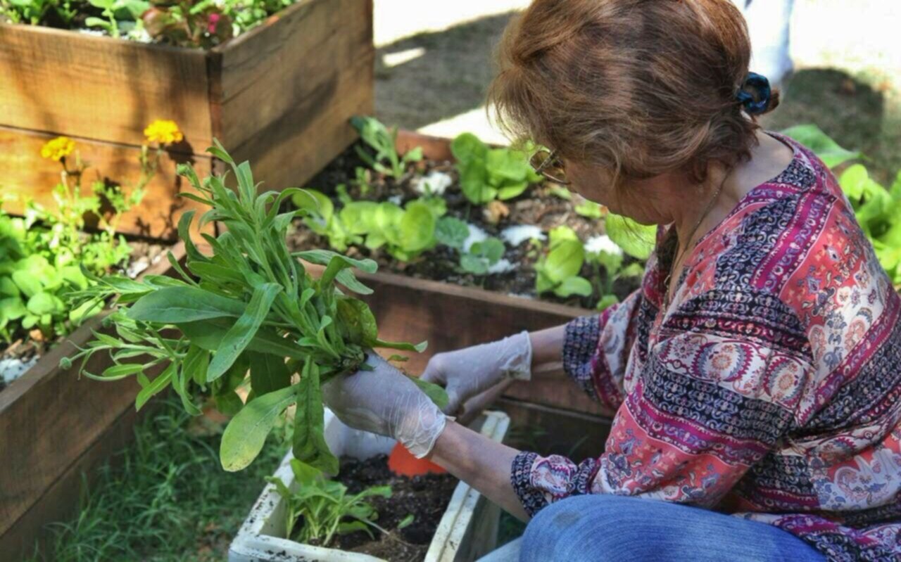 Nueva edición del Taller Abierto de Huerta