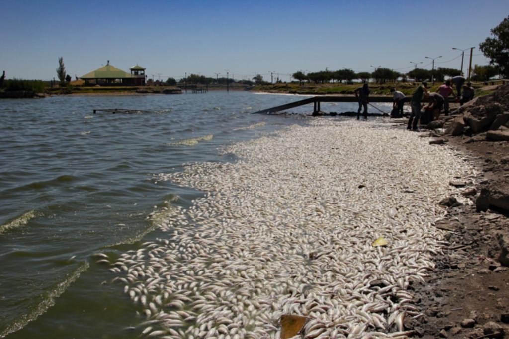 Miles de peces muertos en una laguna de La Pampa