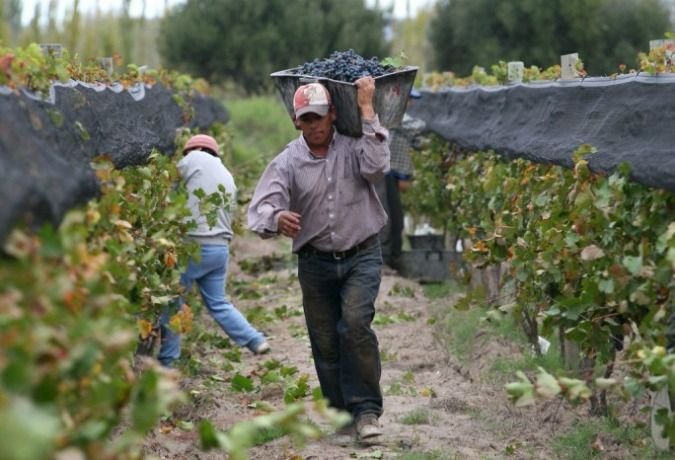 Empleados de la industria del vino piden 30% de aumento