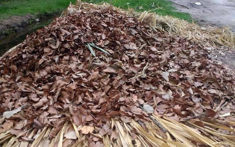 Hartazgo por la falta de mantenimiento de una calle de Villa Elisa