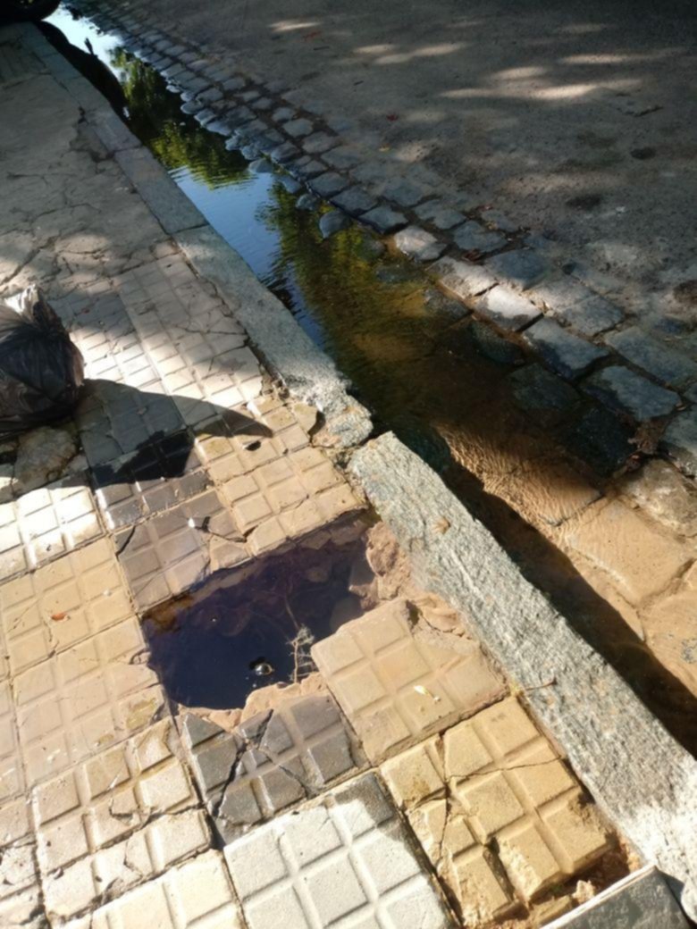 Rompieron baldosas y un caño de agua en 115 y 34