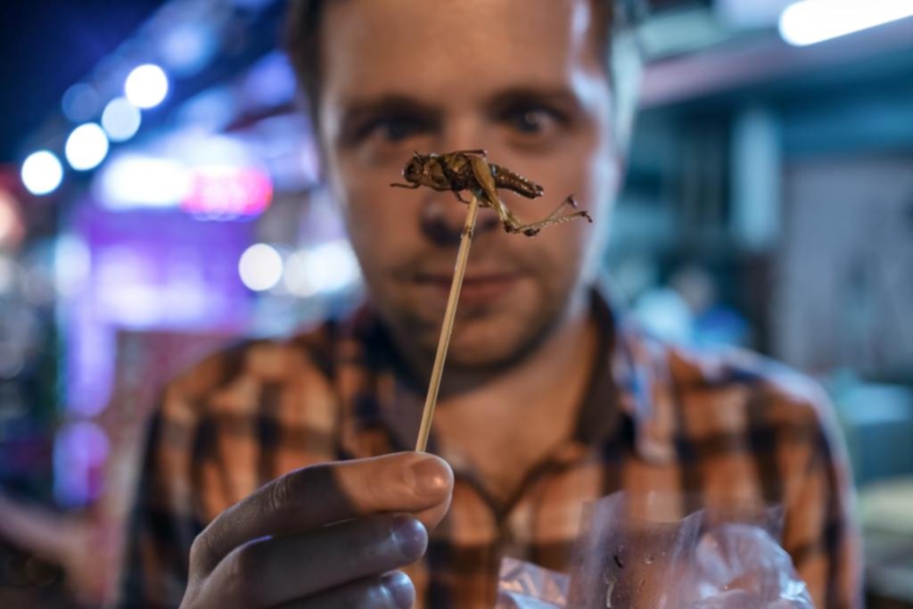 Comer insectos, la tendencia gourmet que busca abrirse camino en el país