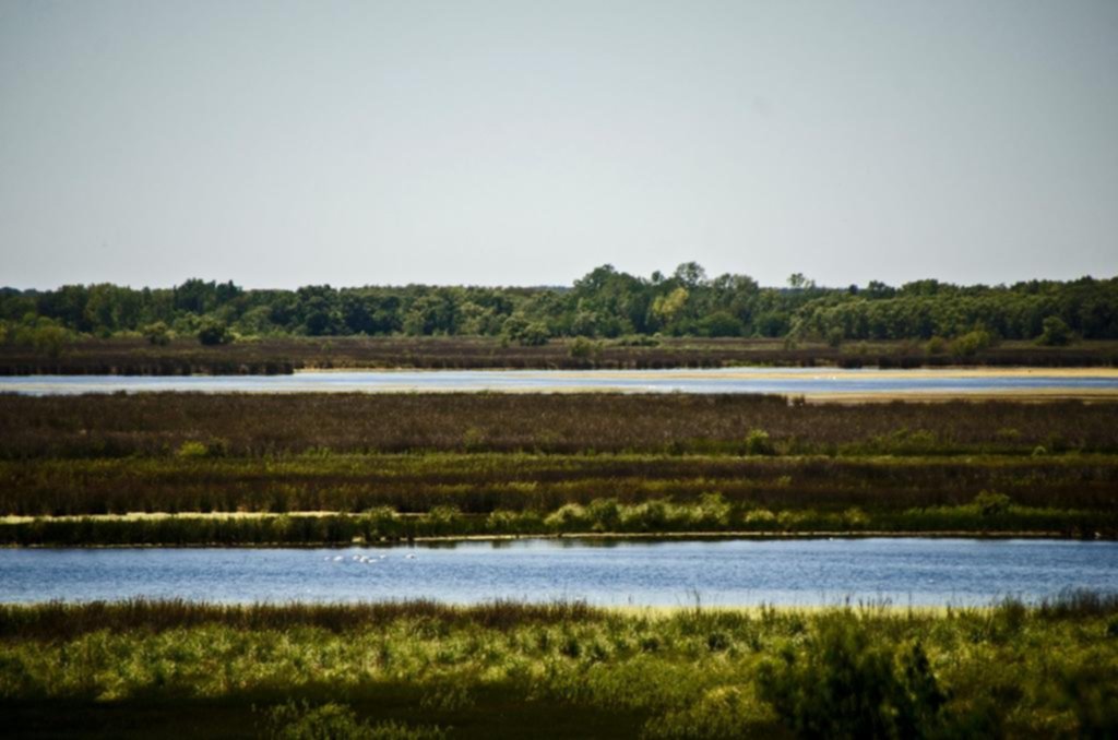 Un circuito fluvial y lo histórico