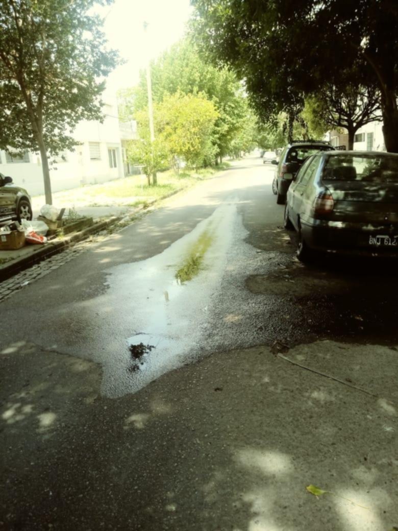 Pérdida de agua y pavimento roto en barrio Hipódromo